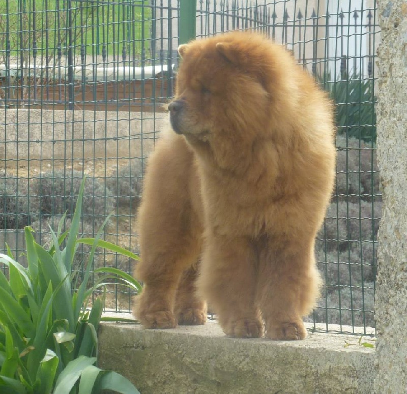 E'ouang de la gangue d'isodora